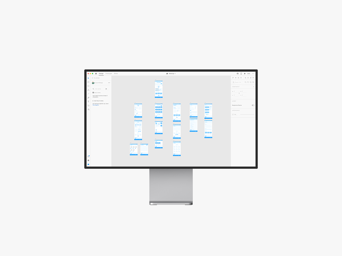 AEFM Information Architecture